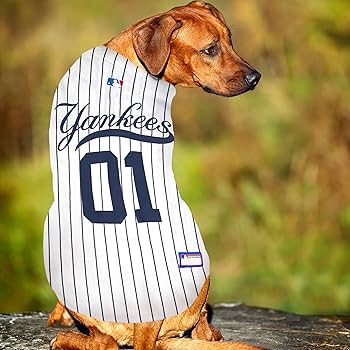 【新品正規品】MLB犬服 LとSサイズセットNEW YORK ヤンキース 81Gvyt04rVL._UF350,350_QL50_.jpg